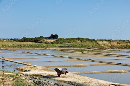Tableau sur toile famous sea salt marshes of Guerande in Brittany, in summer