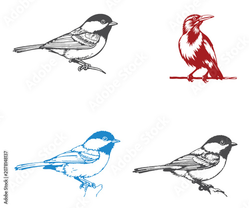 Fotografie Minimalist Vector Bird Designs