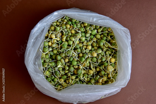 Obraz na płótnie Top view of sprouted green peas with visible signs of spoilage inside an open plastic bag
