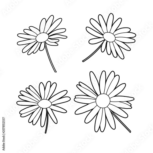 Doodle crayon drawn flowers set. Camomile scribbles, curly line, floral botanical art. Isolated flat illustrations.