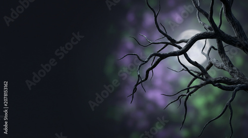 Spooky silhouette of bare tree branches against a full moon in a dark night forest