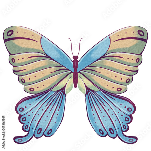 Foto Symmetrical butterfly illustration with intricate patterns, delicate wings, vibrant blue and tan hues