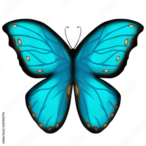 Photography Bright blue morpho butterfly emoji graphic for designs