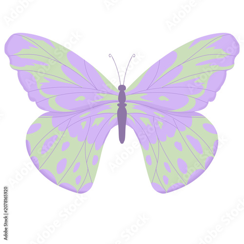 Foto Gorgeous symmetrical butterfly illustration is perfect for adding a touch of elegance to your designs, especially for naturethemed projects