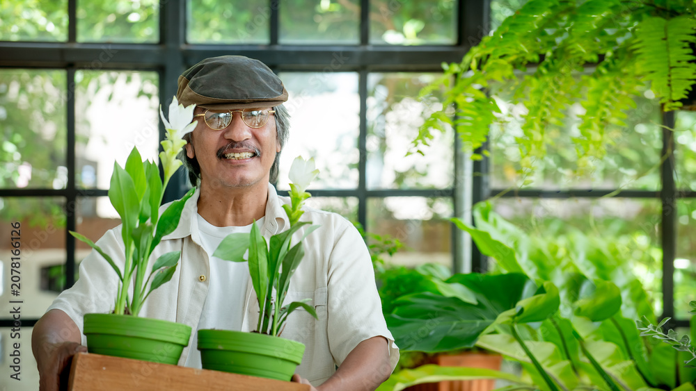 Obraz premium Happy senior man holding potted plants in a bright home representing healthy aging indoor gardening wellness and active lifestyle with copy space for advertising. 