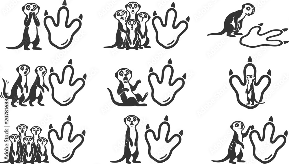 Obraz premium Set of meerkat silhouettes with animal paw prints for wildlife design projects