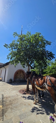 A vertical, sunny day shot featuring a brown horse harnessed to a carriage standing in a cobblestone courtyard next to a green tree, with a white alpine church building and its tall spire under a clea