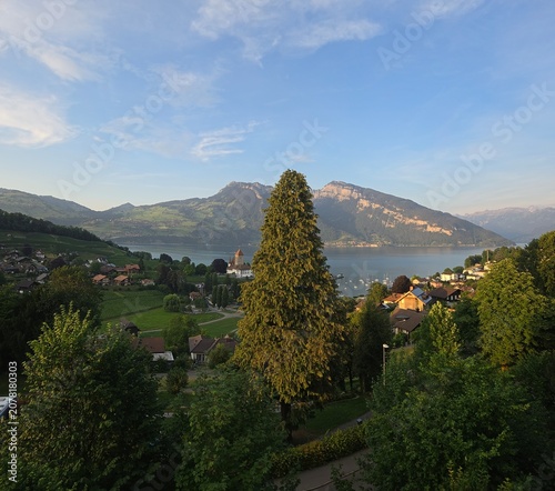 A beautiful panoramic landscape of a traditional Swiss village nestled on green hills along the shores of Lake Thun, featuring a prominent tall evergreen tree in the foreground and majestic mountain p