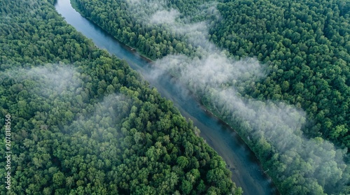 Aerial view, river, forest, landscape, nature, trees, fog, misty, green, environment