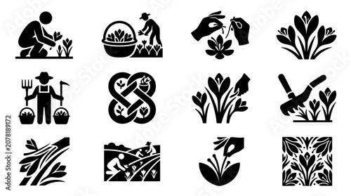 Photos Saffron Cultivation Icons: Harvesting, Planting, and Floral Motifs