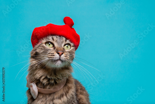 Vászonkép A tabby cat with a commanding presence, wearing a red beret against a turquoise