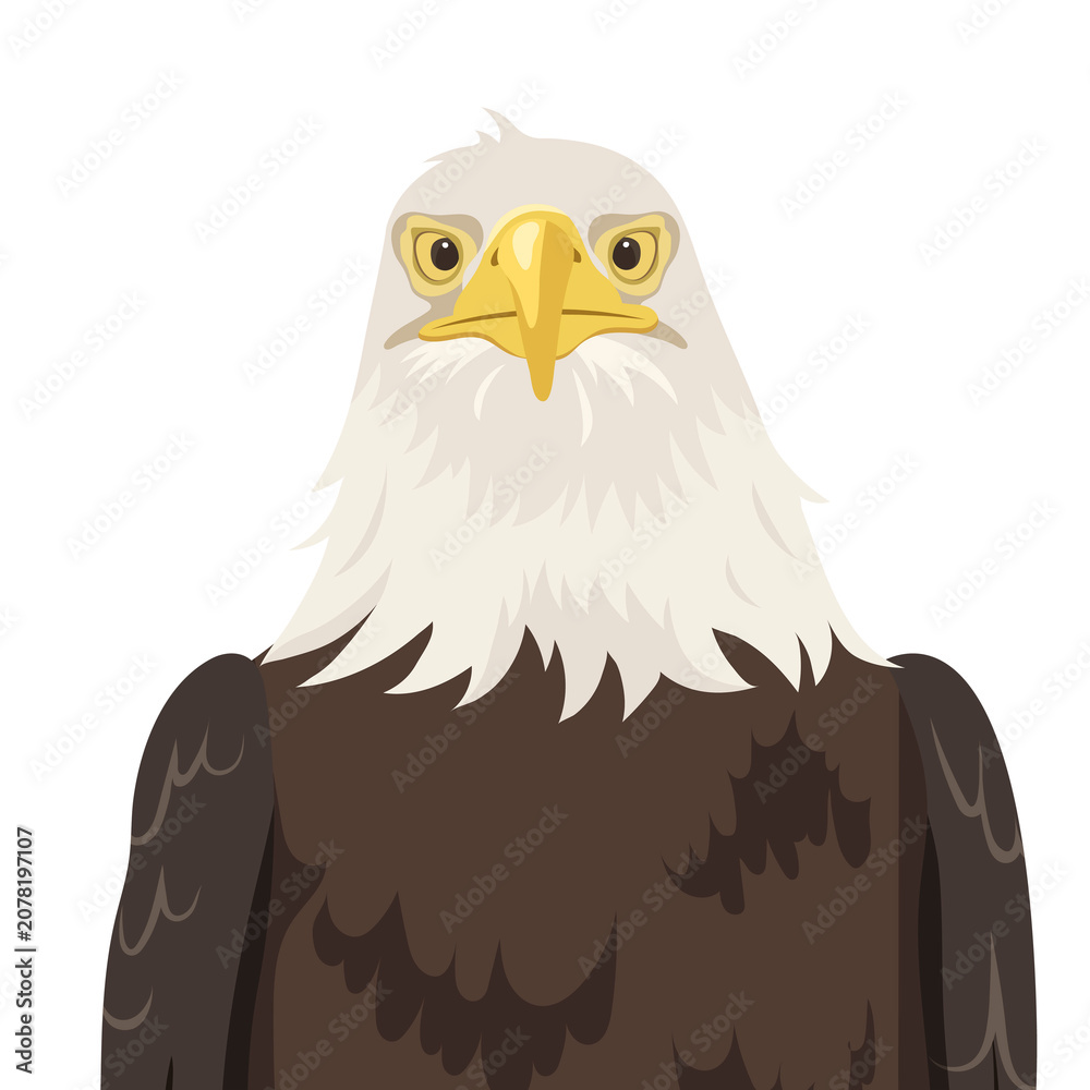 Fototapeta premium PNG bald eagle face illustration, bird sticker, USA symbol, transparent background