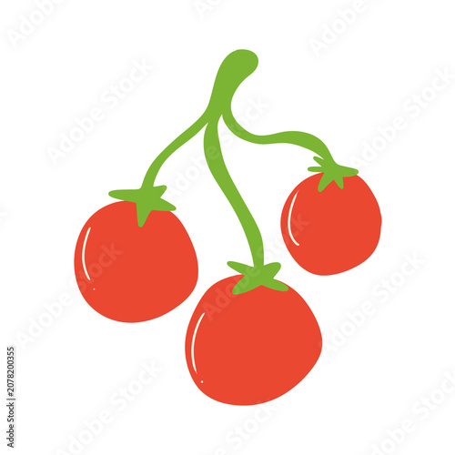    Tomato on the Vine Simple Food Illustration