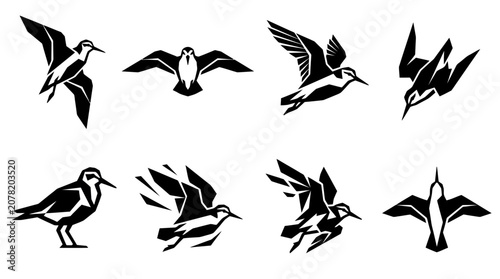 Foto Set of stylized black silhouettes of shorebirds in various flight and standing p