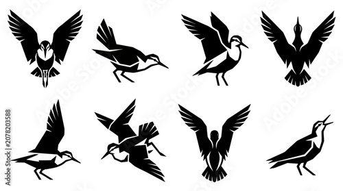 Foto Set of Bird Silhouettes in Flight and Perched