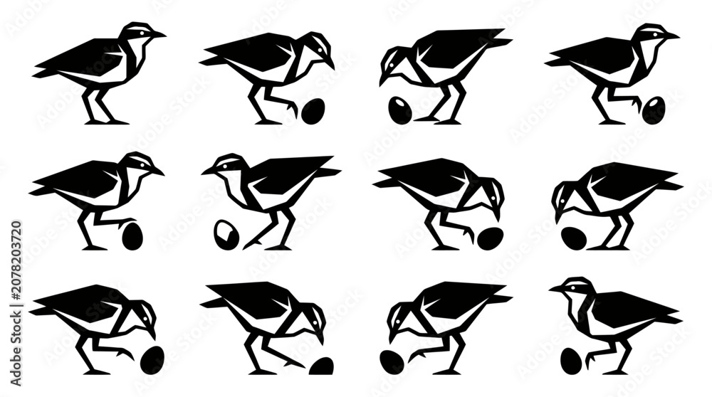 Photos Bird with Egg Sequence Animation Cycle Vector Graphic
