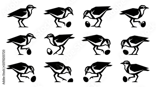 Photos Bird with Egg Sequence Animation Cycle Vector Graphic