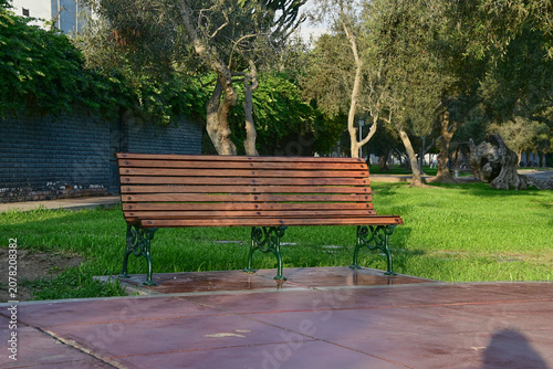 Wooden park bench in tranquil olive tree garden