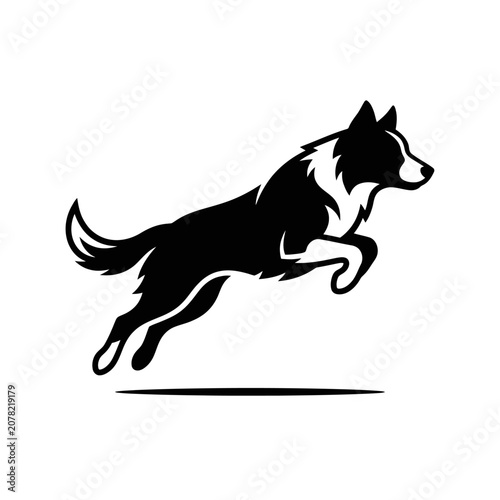 Silhouette of a jumping border collie dog action.