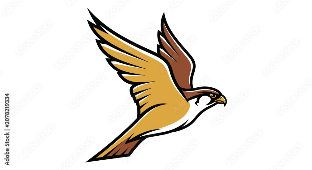 Fototapeta premium Soaring falcon bird illustration on white background.