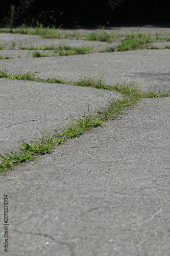 Pavement with grass growing through the cracks