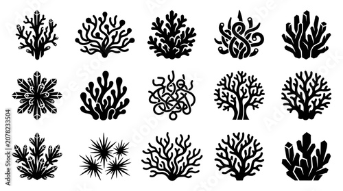 Fotografía Coral Reef Silhouettes: Diverse Marine Life Forms Collection