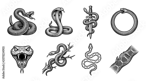 Set of Vintage Snake Illustrations Including Cobra, Rattlesnake, Ouroboros, and Serpent Symbols in Engraving Tattoo Style