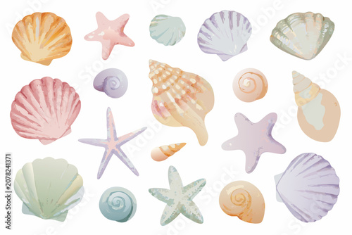 Watercolor seashell collection on a white background featuring various marine life forms