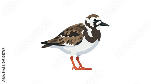 Fényképezés Turnstone Bird Illustration Isolated on White Background