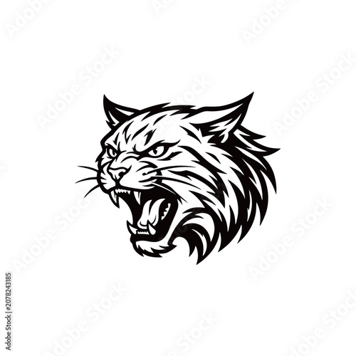 Fierce bobcat head vector illustration with sharp teeth and fur
