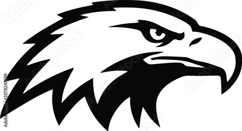 Obraz na plátně Stylized black and white eagle head profile vector logo with sharp feather detai