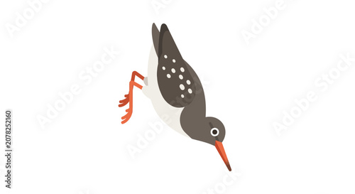 Foto Cartoon Sandpiper Bird Dipping Head to Ground