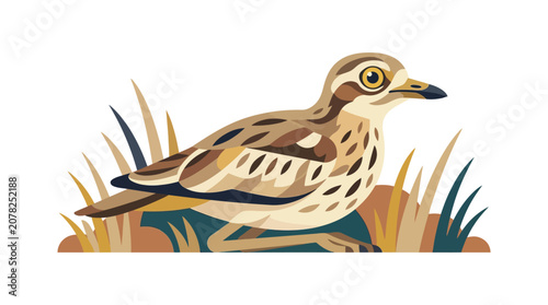 Φωτογραφία Bird illustration, nature, wildlife, animal, ornithology, birdwatching, outdoor