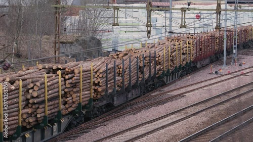 Freight train carrying harvested timber logs through industrial rail yard