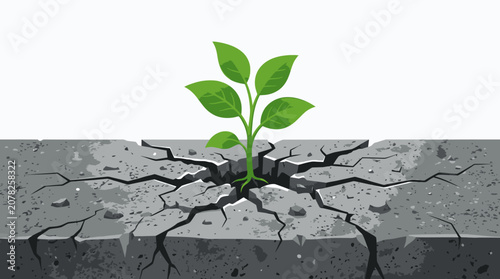 Small green plant growing through cracked concrete.