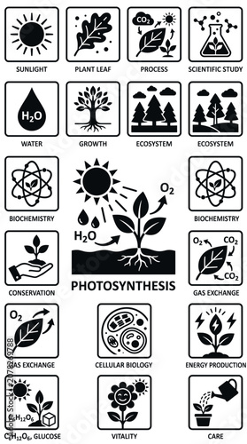 Photosynthesis Icons: Sunlight, Water, CO2, O2, Glucose, Plant Growth, Biology