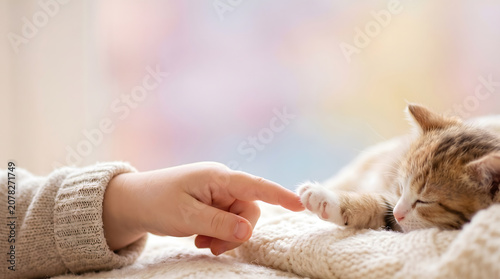 Sleeping orange kitten touched by human finger on cream blanket
