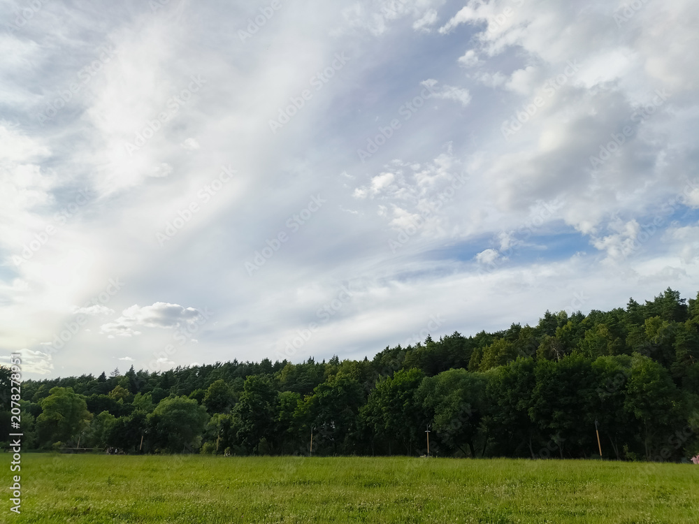 Naklejka premium Beautiful blue clouds on the blue sky over the green summer field