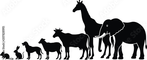 Photography Black animal silhouettes arranged from small to large, featuring mouse, rabbit, dog, goat, cow, giraffe, and elephant
