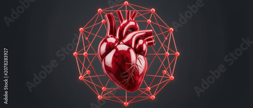 A realistic human heart model surrounded by a red geometric network on a dark background.