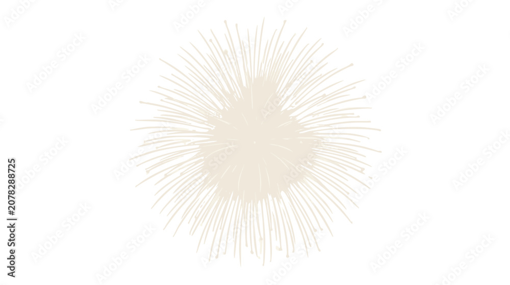 Obraz premium Minimalist vector graphic illustration of a stylized firework burst featuring delicate radiating lines on a solid deep black background