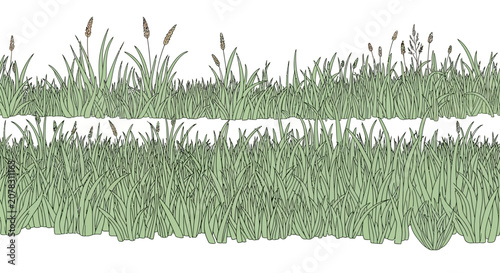 Quadro su tela Green grass blades with cattails growing.