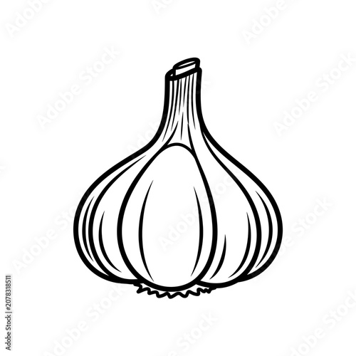 Detailed black and white illustration of a fresh garlic bulb.