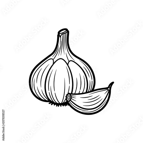 Detailed black and white illustration of a fresh garlic bulb and clove.
