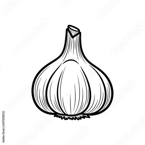 Detailed black and white illustration of a fresh garlic bulb.