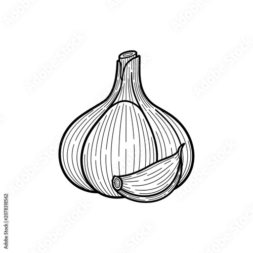 Detailed black and white illustration of a garlic bulb and clove.