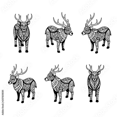 Detailed Black and White Deer Illustrations on White Background.
