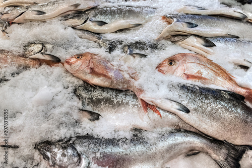 Принти на полотні A group of pink and gray fish on ice that fills the frame