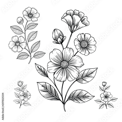 Single flower set line art illustration