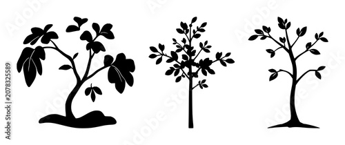 Foto Reforestation tree sapling set with solid black icon against white background fe